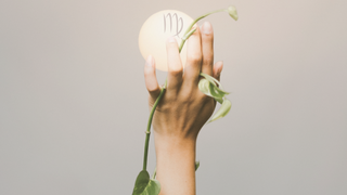 Vollmond in der Jungfrau am 24.02.2024